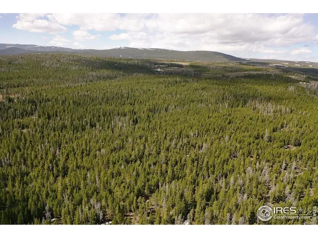 $260,000 | 0 Forest Service 169 Road, Unit 7, Red Feather Lakes, CO 80545