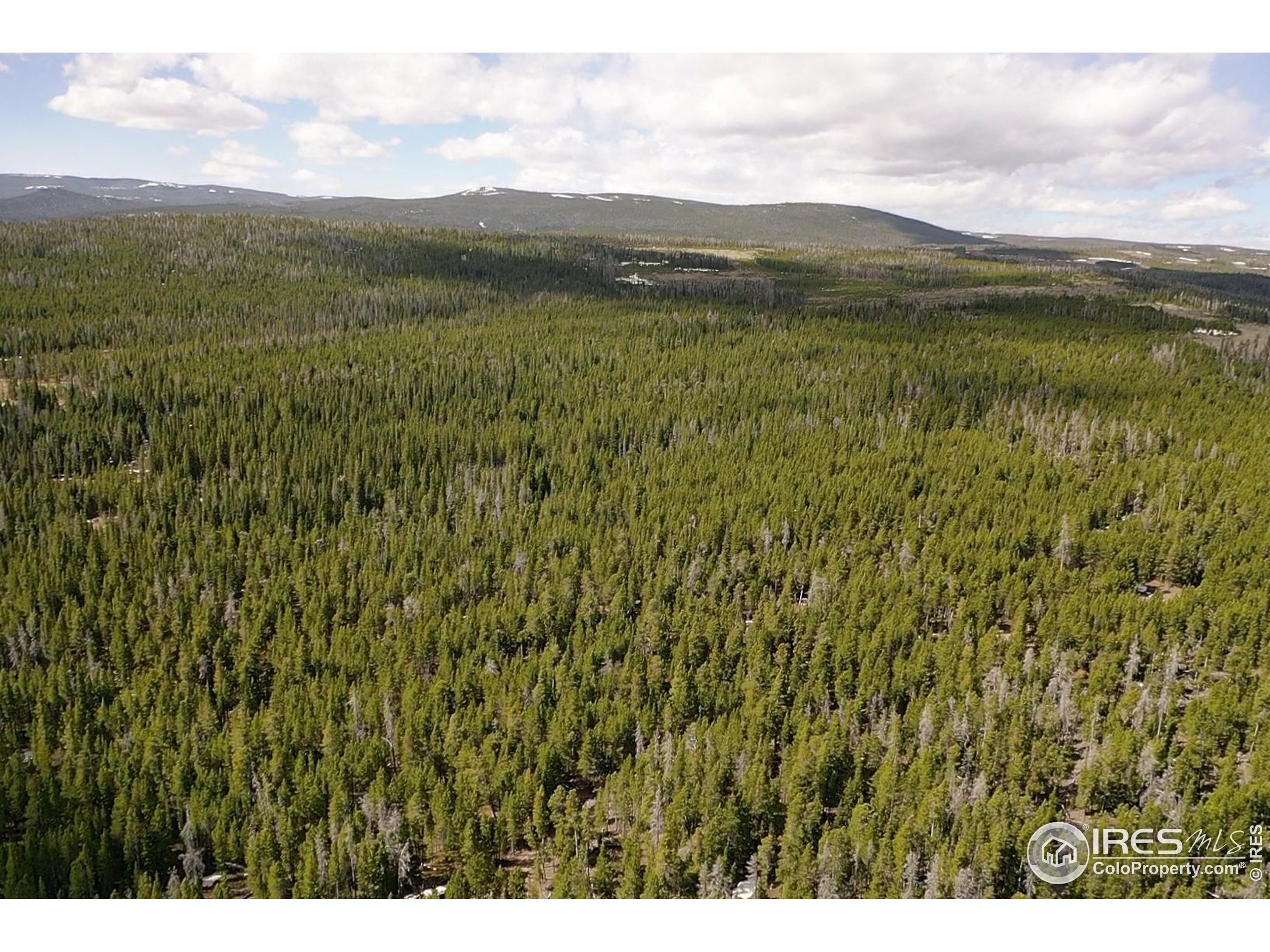 0 Forest Service 169 Road, Unit 7 Red Feather Lakes, CO 80545 - Photo 18 of 18 a view of lake with mountain