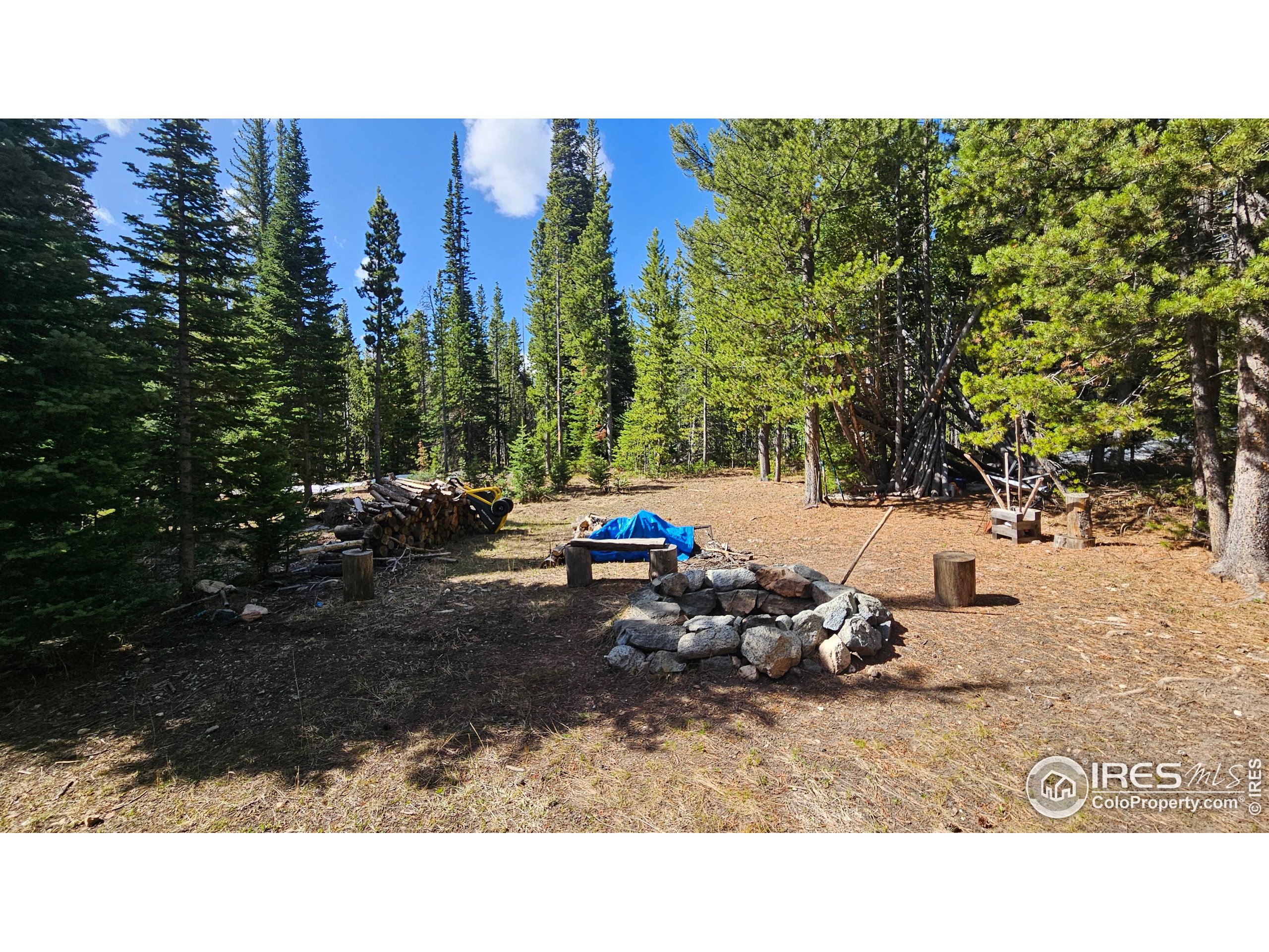0 Forest Service 169 Road, Unit 7 Red Feather Lakes, CO 80545 - Photo 2 of 18 a backyard of a house with table and chairs