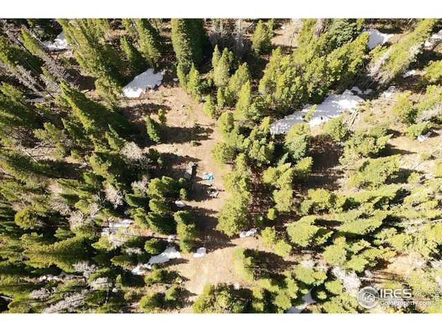 a view of a bunch of trees