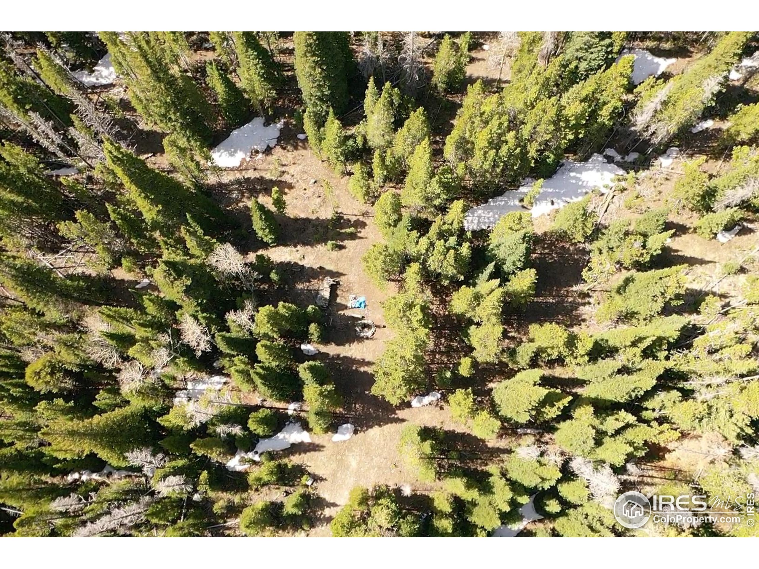0 Forest Service 169 Road, Unit 7 Red Feather Lakes, CO 80545 - Photo 3 of 18 a view of a bunch of trees