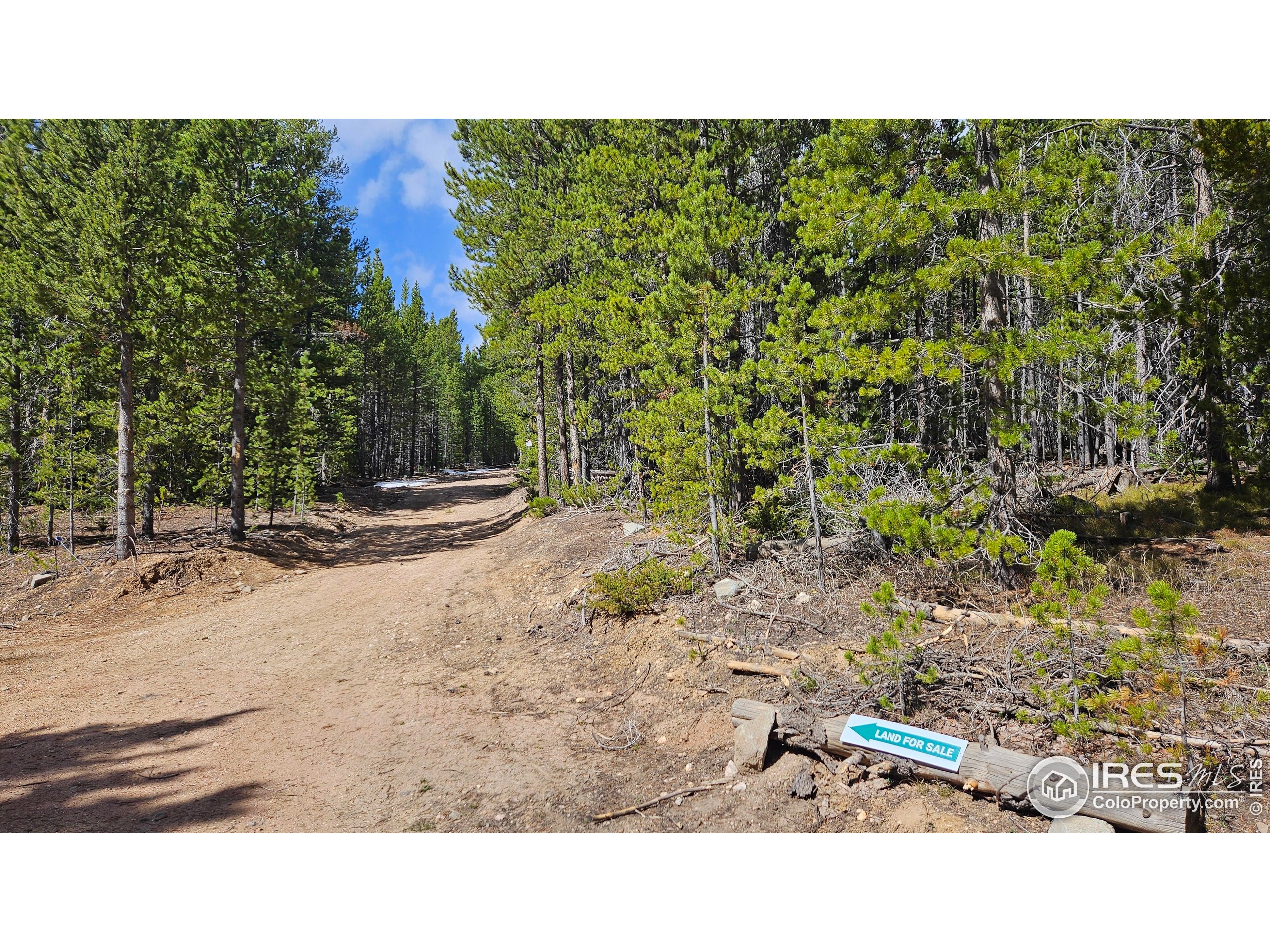 0 Forest Service 169 Road, Unit 7 Red Feather Lakes, CO 80545 - Photo 4 of 18