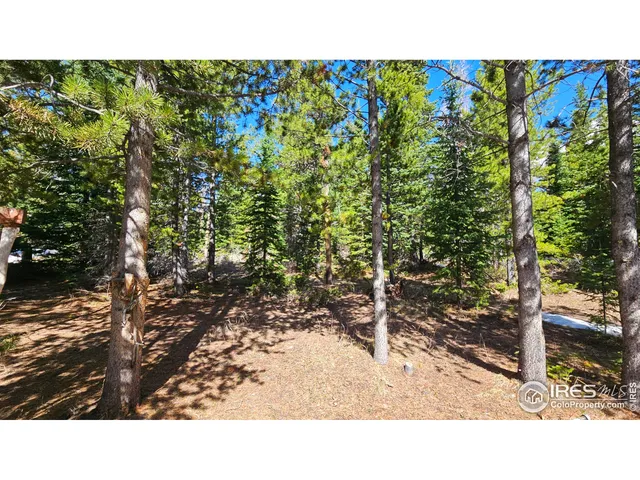 a black and white photo of a green field