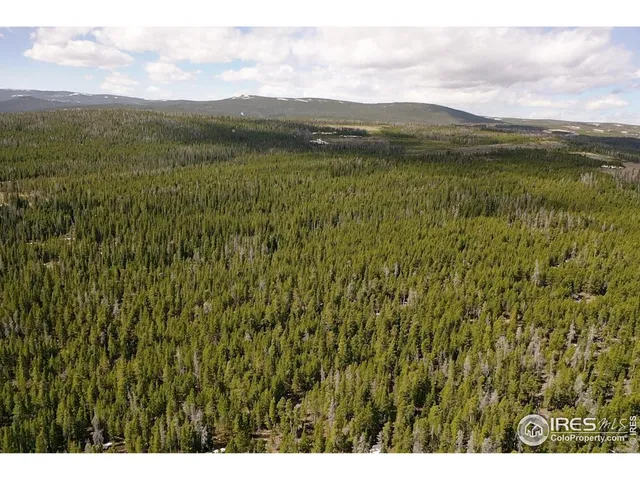 a open area with trees in the background