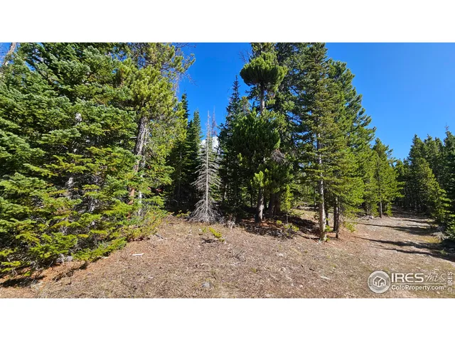 a open area with trees in the background