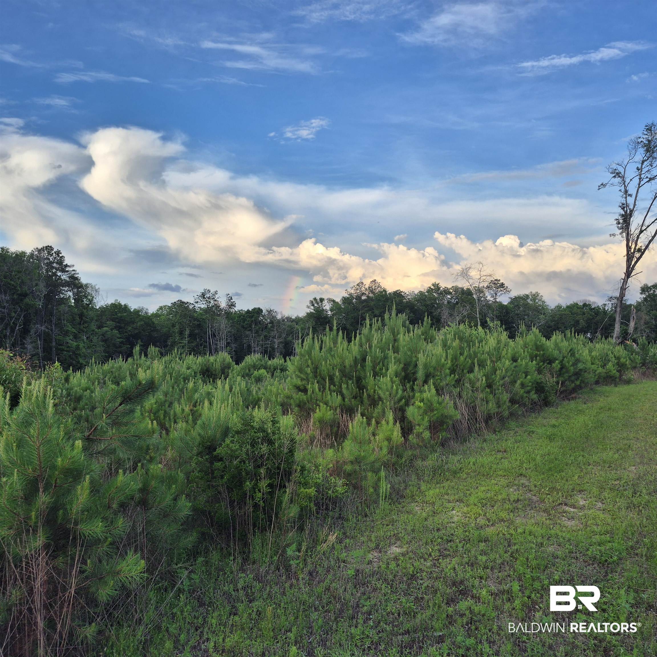 0 Brooklyn Road Evergreen, AL 36401 - Photo 1 of 15