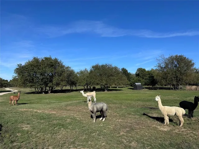 $1,499,000 | 4081 Farm To Market Road 2736, Campbell, TX 75422