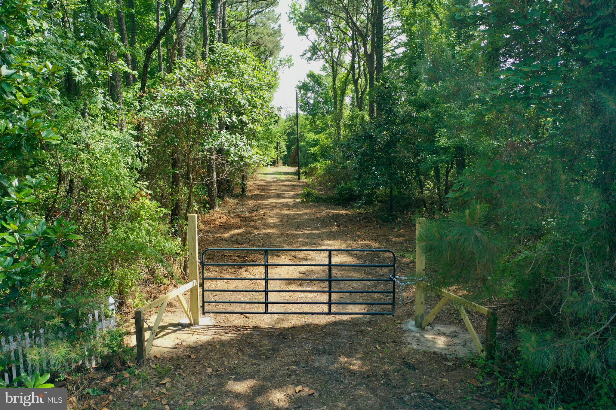 23145 Edelen Webster Road Deal Island, MD 21821 - Photo 29 of 35