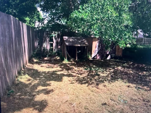 a view of a backyard with a small cabin