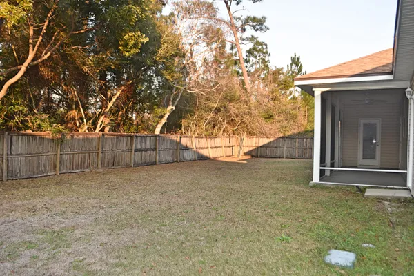 a view of backyard and tree