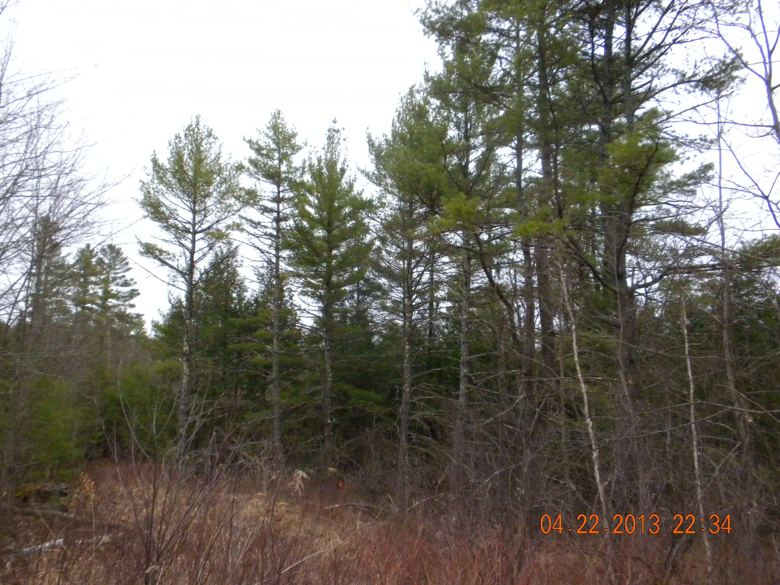 85 Mitchell Hill Road Gorham, ME 04038 - Photo 34 of 39 DSCN6312