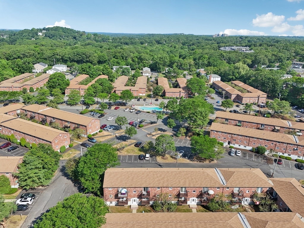 34 Westgate Road, Unit 3 Chestnut Hill, MA 02467 - Photo 19 of 24 Gallery Image 19