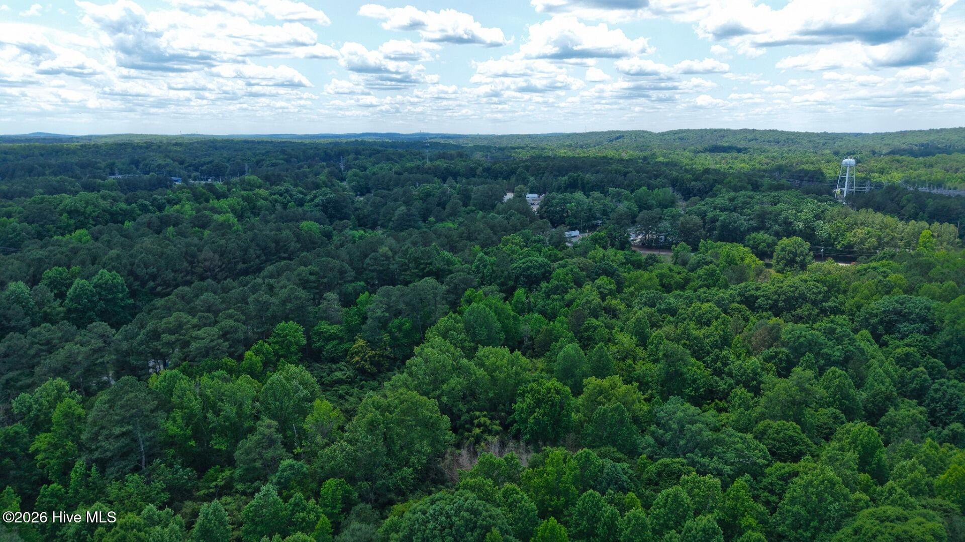 0 Laurel Rdg Road Durham, NC 27705 - Photo 16 of 36