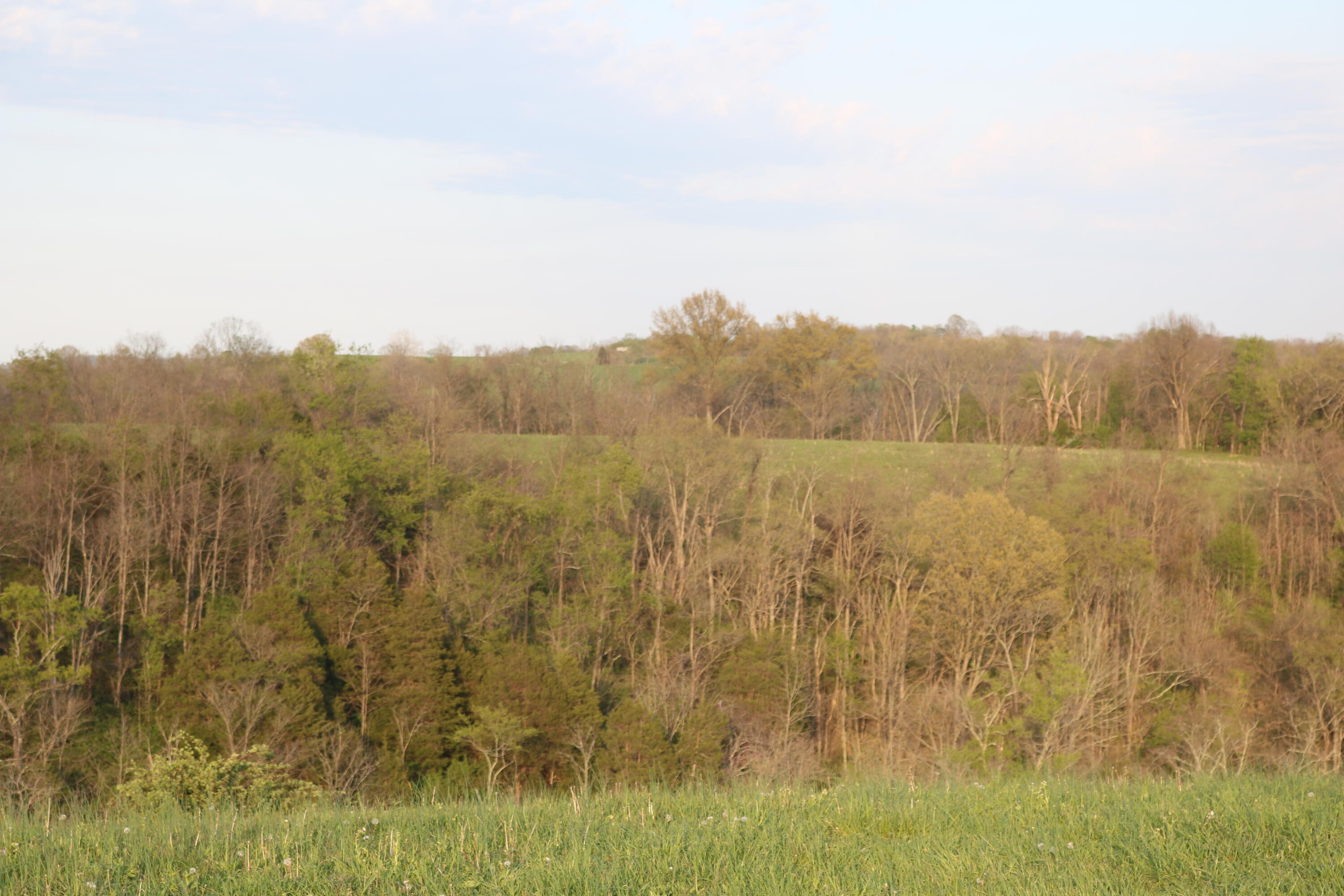 1 A Bethel Road Moorefield, KY 40350 - Photo 5 of 20 IMG_6038