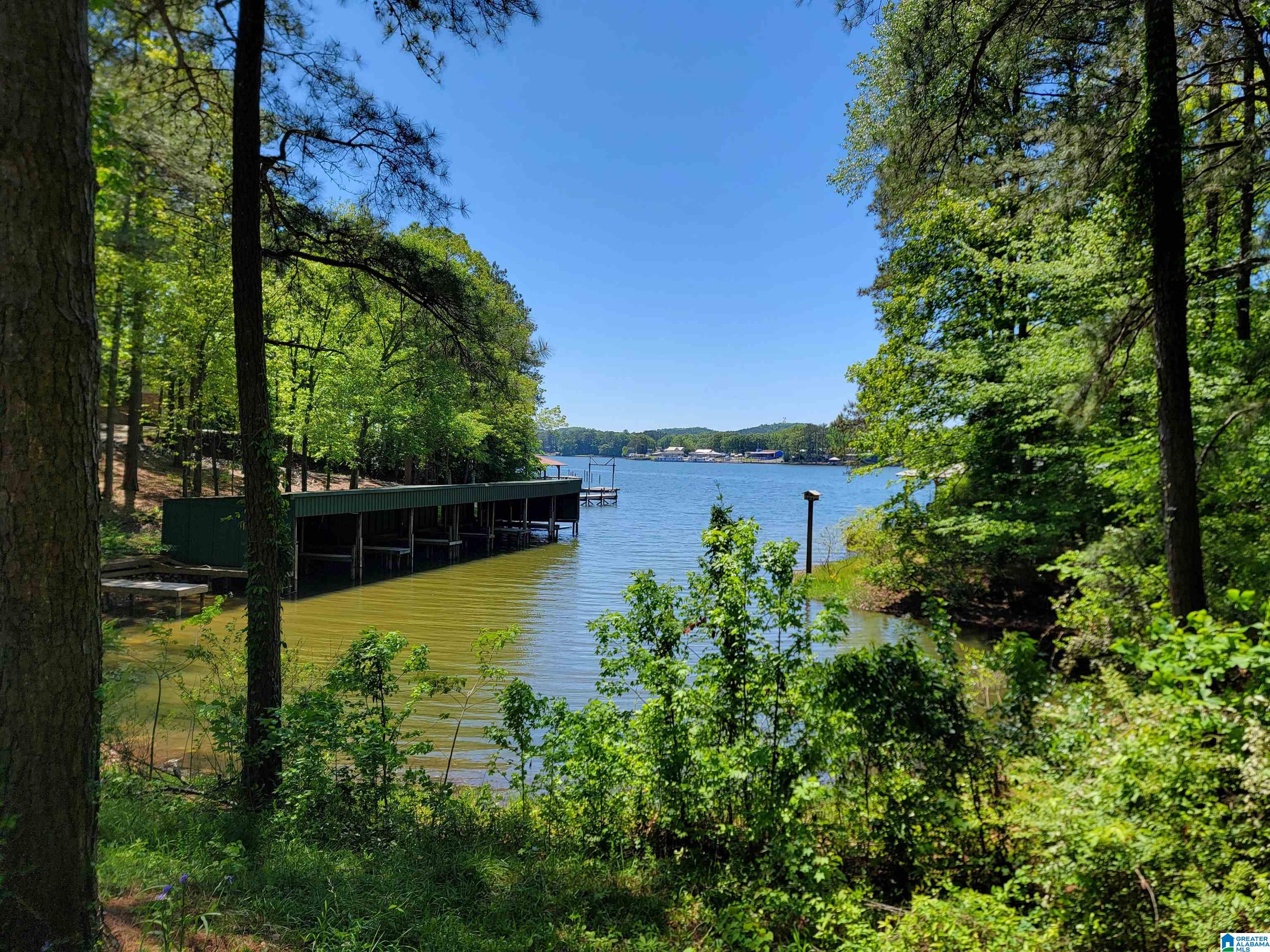 0 Clearwater Point Road, Unit 5 Cropwell, AL 35054 - Photo 12 of 15