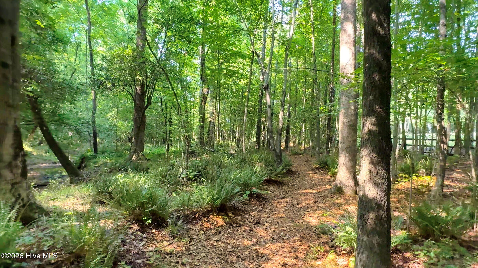 644 Bracken Hill Road Cameron, NC 28326 - Photo 83 of 95 trails