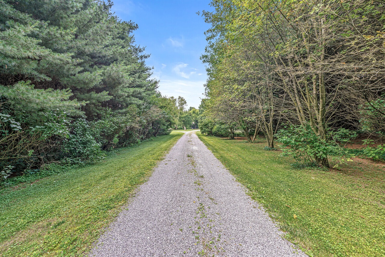 12033 Shavehead Lake Road Jones, MI 49061 - Photo 58 of 78