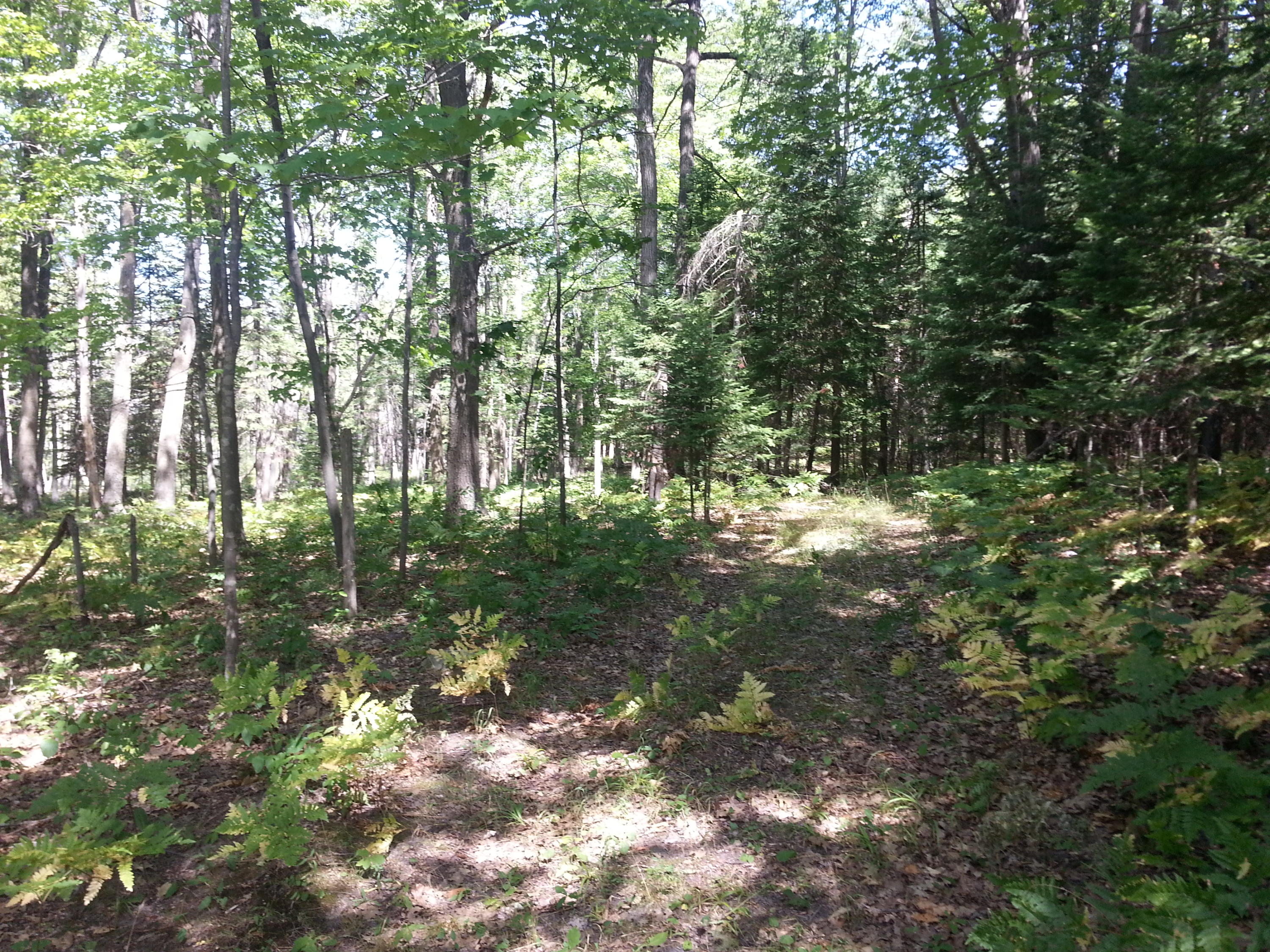 6088 Ratz Road Hubbard Lake, MI 49747 - Photo 28 of 35 Gallery Image 28