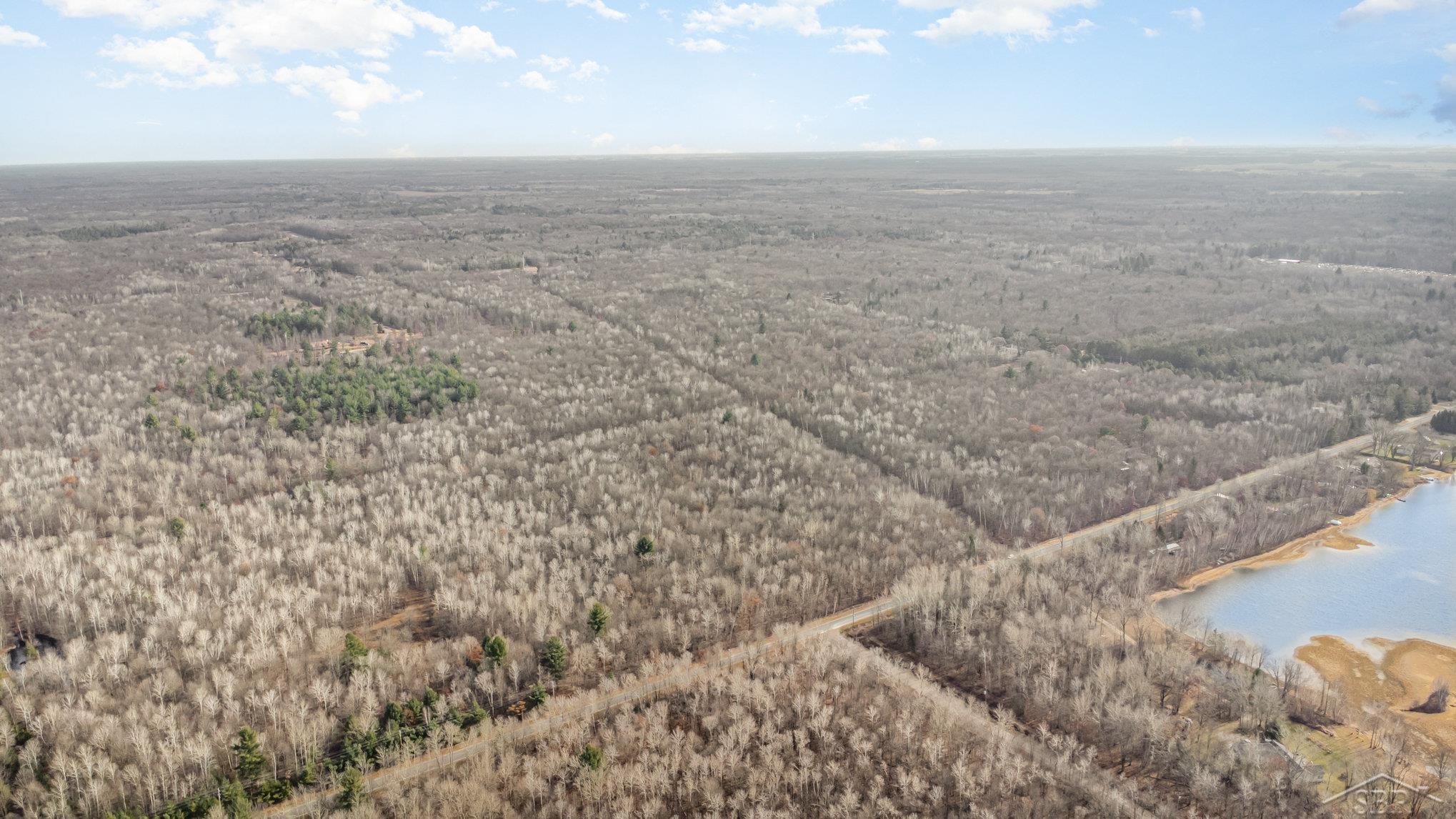 South E County Line Road Shepherd, MI 48883 - Photo 13 of 19