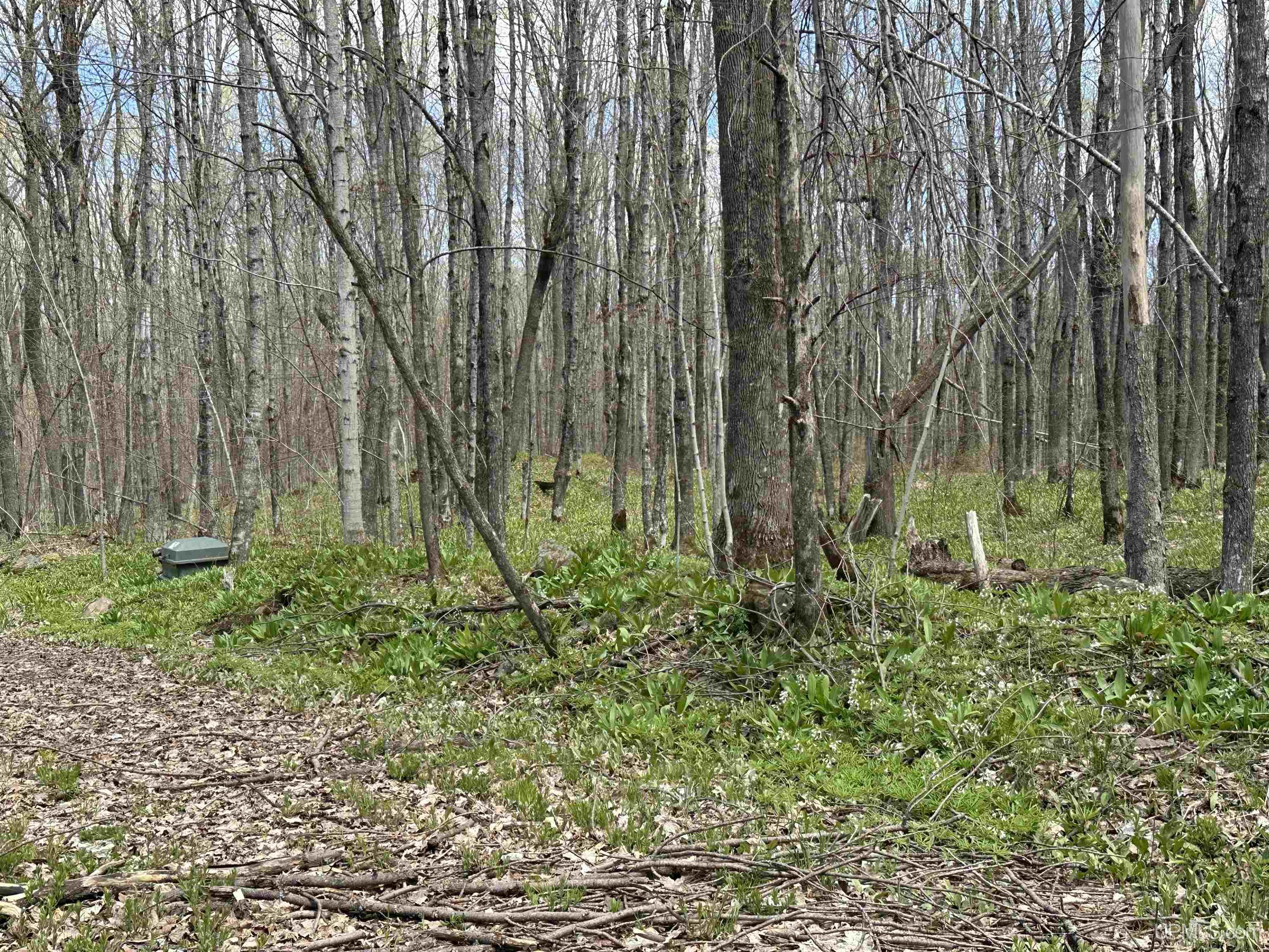 Off East Shore Road Marenisco, MI 49947 - Photo 6 of 11