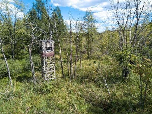 11582 Belding Road Northeast Belding, MI 48809 - Photo 1 of 29 21