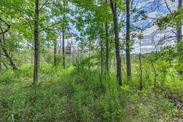 11582 Belding Road Northeast Belding, MI 48809 - Photo 11 of 29 3675