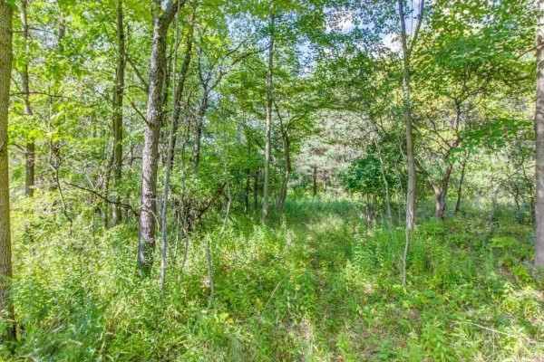 11582 Belding Road Northeast Belding, MI 48809 - Photo 18 of 29 3713