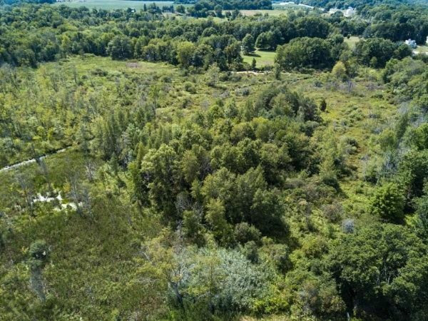 11582 Belding Road Northeast Belding, MI 48809 - Photo 2 of 29 17
