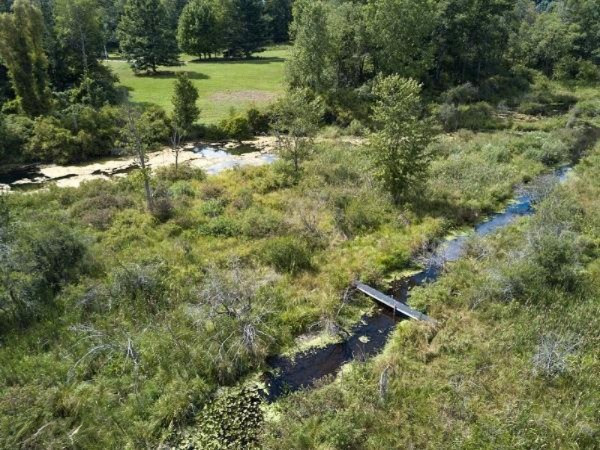 11582 Belding Road Northeast Belding, MI 48809 - Photo 3 of 29 25