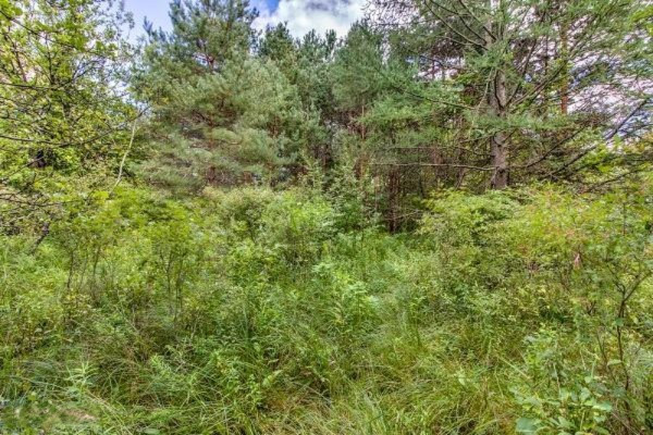 11582 Belding Road Northeast Belding, MI 48809 - Photo 7 of 29 3663