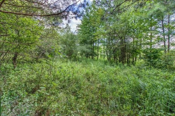 11582 Belding Road Northeast Belding, MI 48809 - Photo 10 of 29 3672