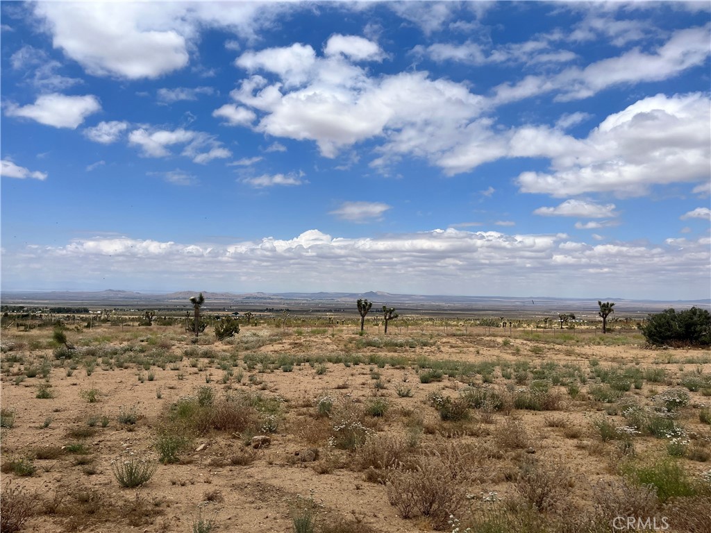 0 Vac/vic Bobs Gap Rd/175 Llano, CA 93544 - Photo 3 of 3 a view of yard with ocean view