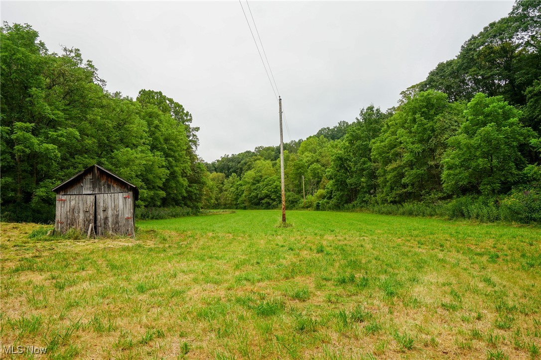 34799 Paw Road Lower Salem, OH 45745 - Photo 26 of 50 View of grassy yard featuring an outbuilding and a wooded view