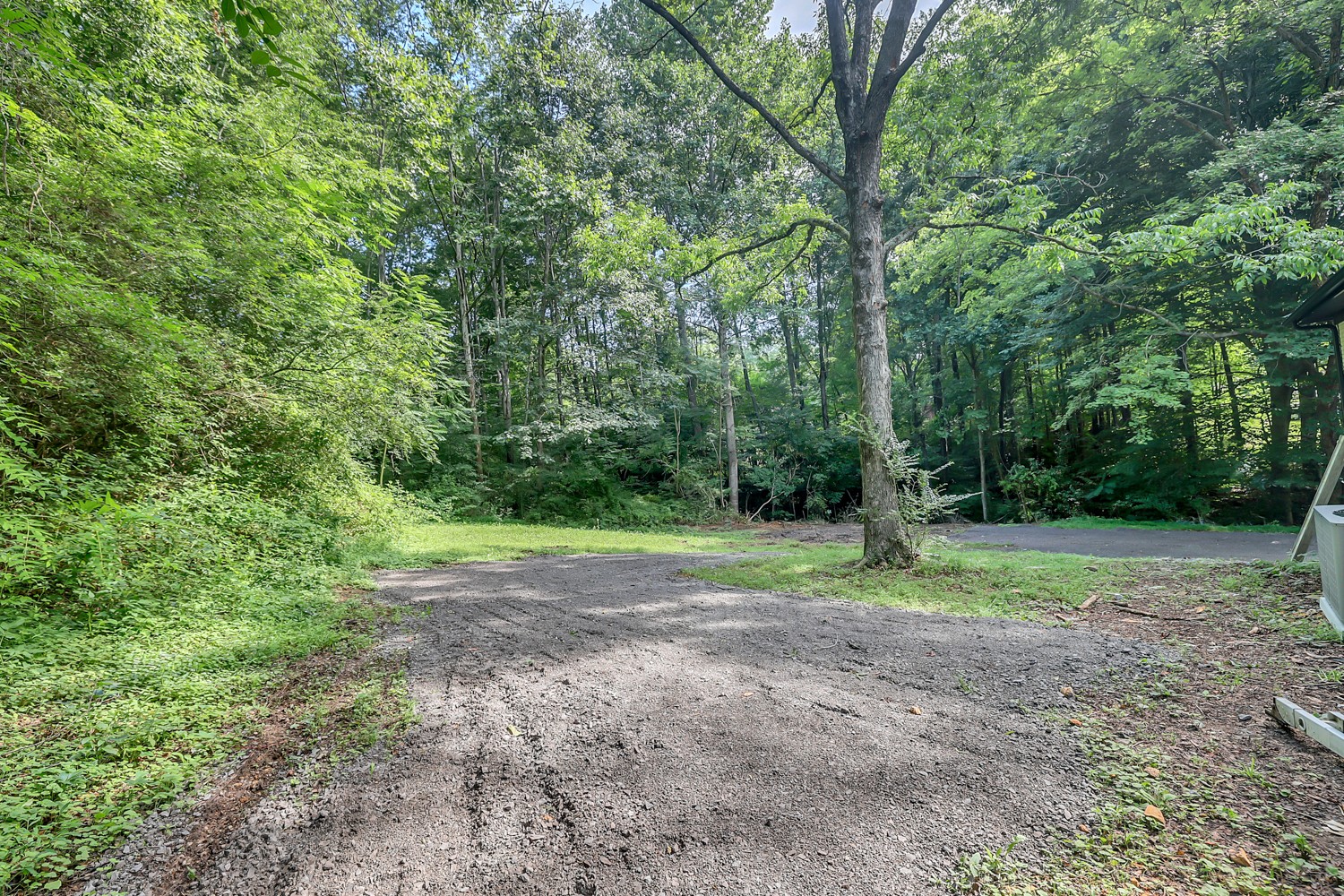 827 Spring Street Red Boiling Springs, TN 37150 - Photo 23 of 25 a view of outdoor space with trees