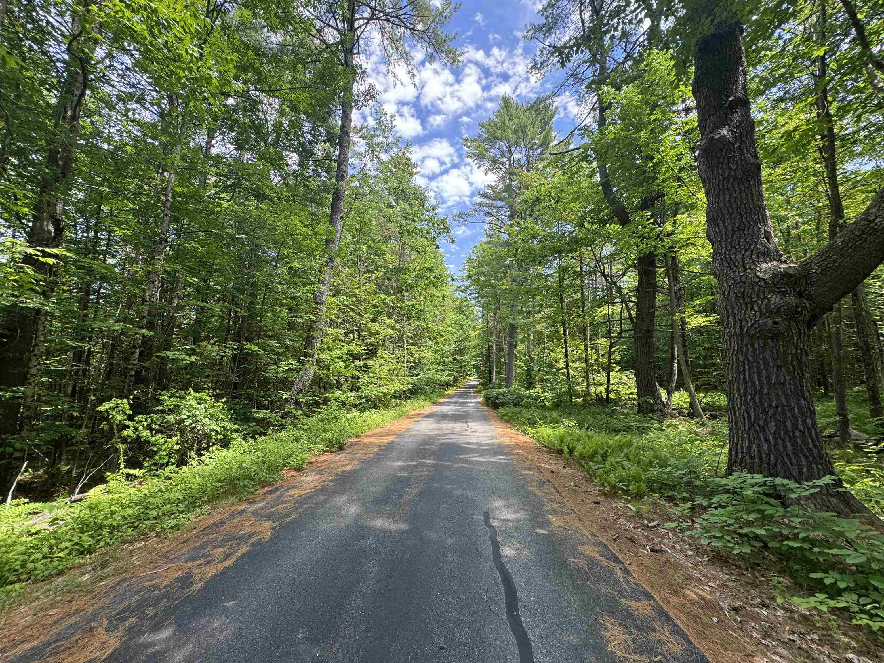 44 Pease Road Meredith, NH 03253 - Photo 2 of 60