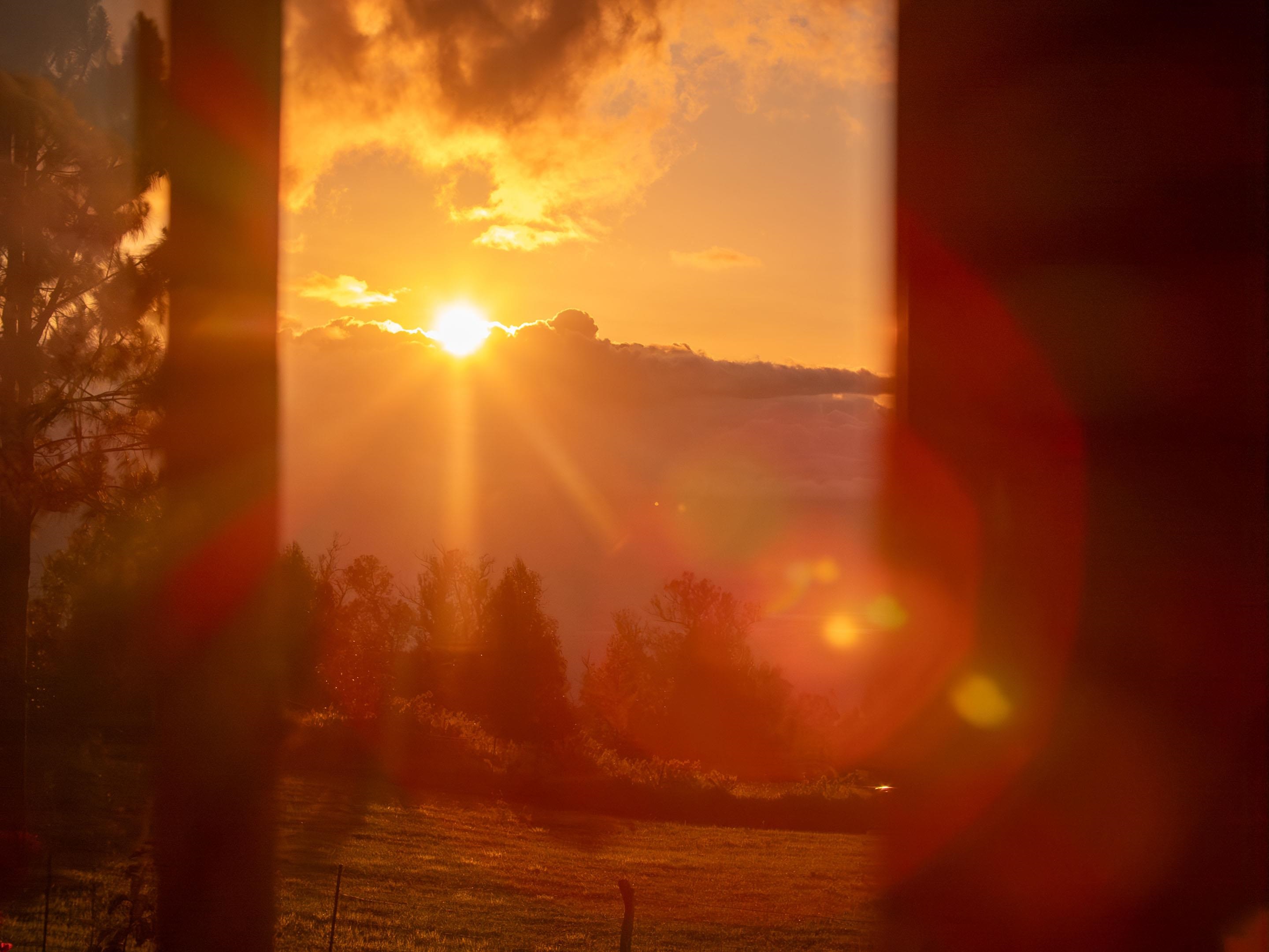 2450 Piiholo Road Makawao, HI 96768 - Photo 4 of 50