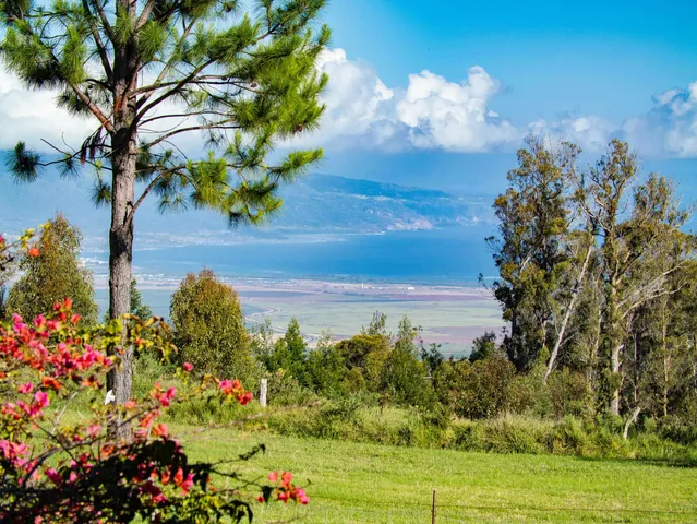$4,949,000 | 2450 Piiholo Road, Makawao, HI 96768