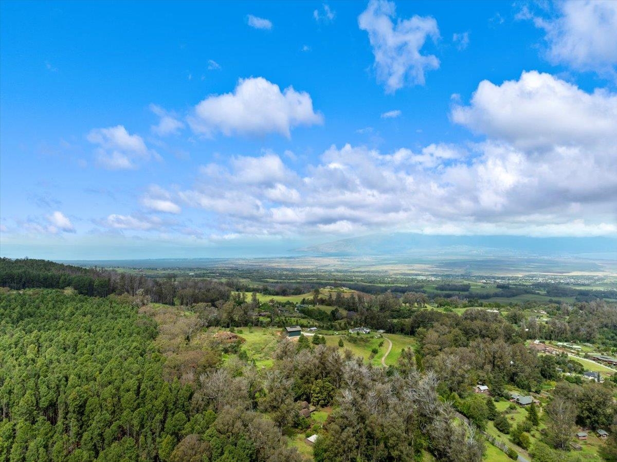 2450 Piiholo Road Makawao, HI 96768 - Photo 9 of 50