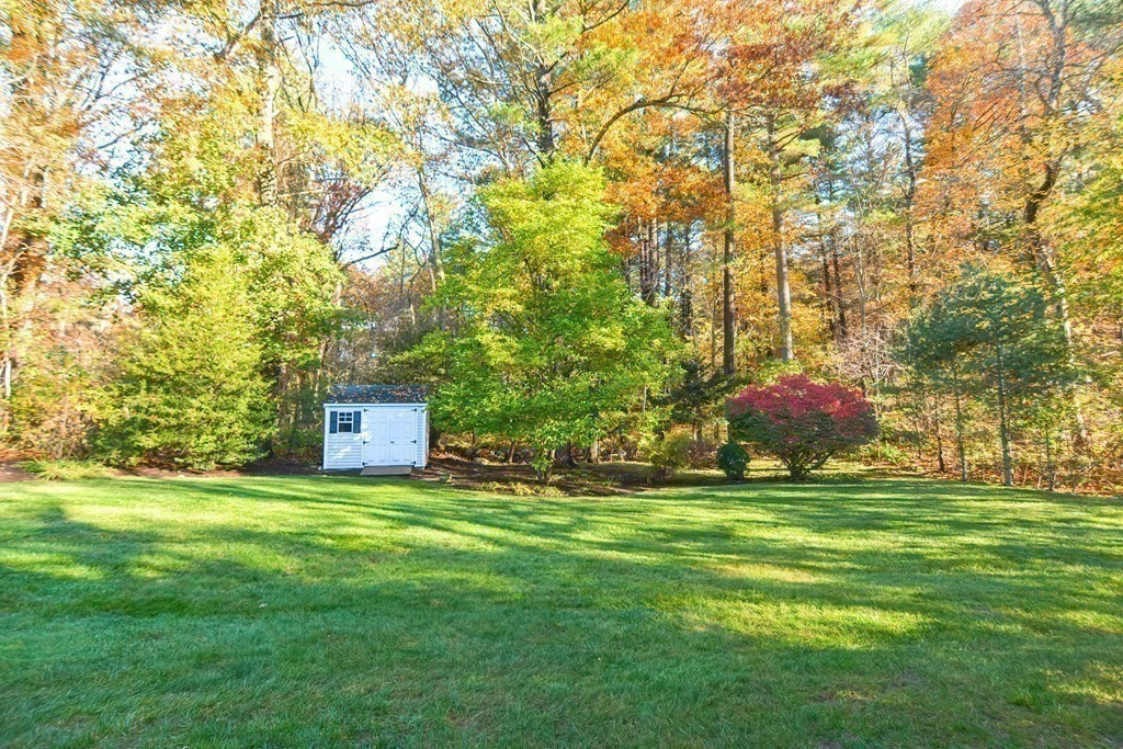 7 Tamarack Road Medfield, MA 02052 - Photo 33 of 33 a backyard of a house with lots of green space and fountain