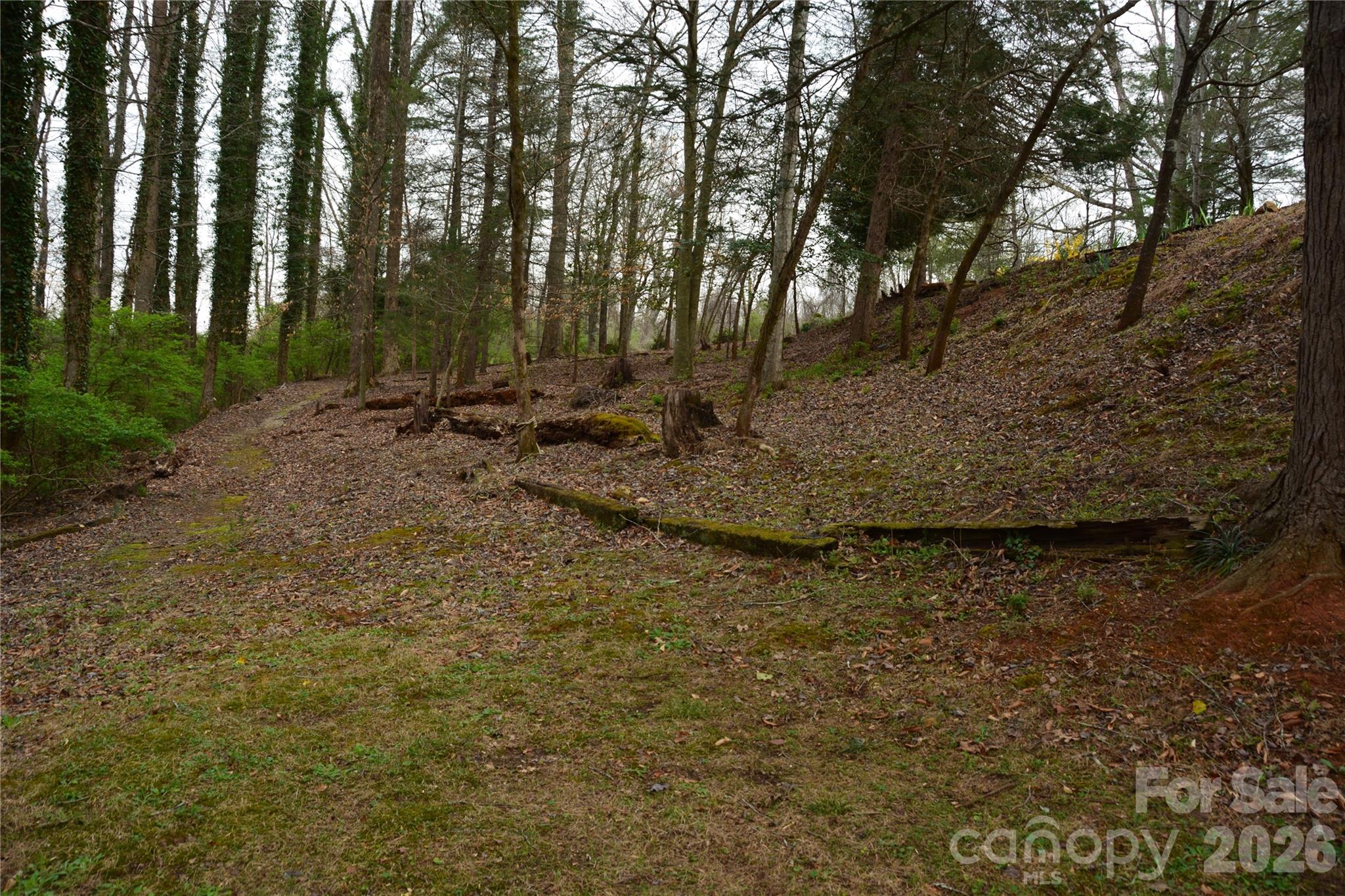 2305 Airport Road Marion, NC 28752 - Photo 8 of 30