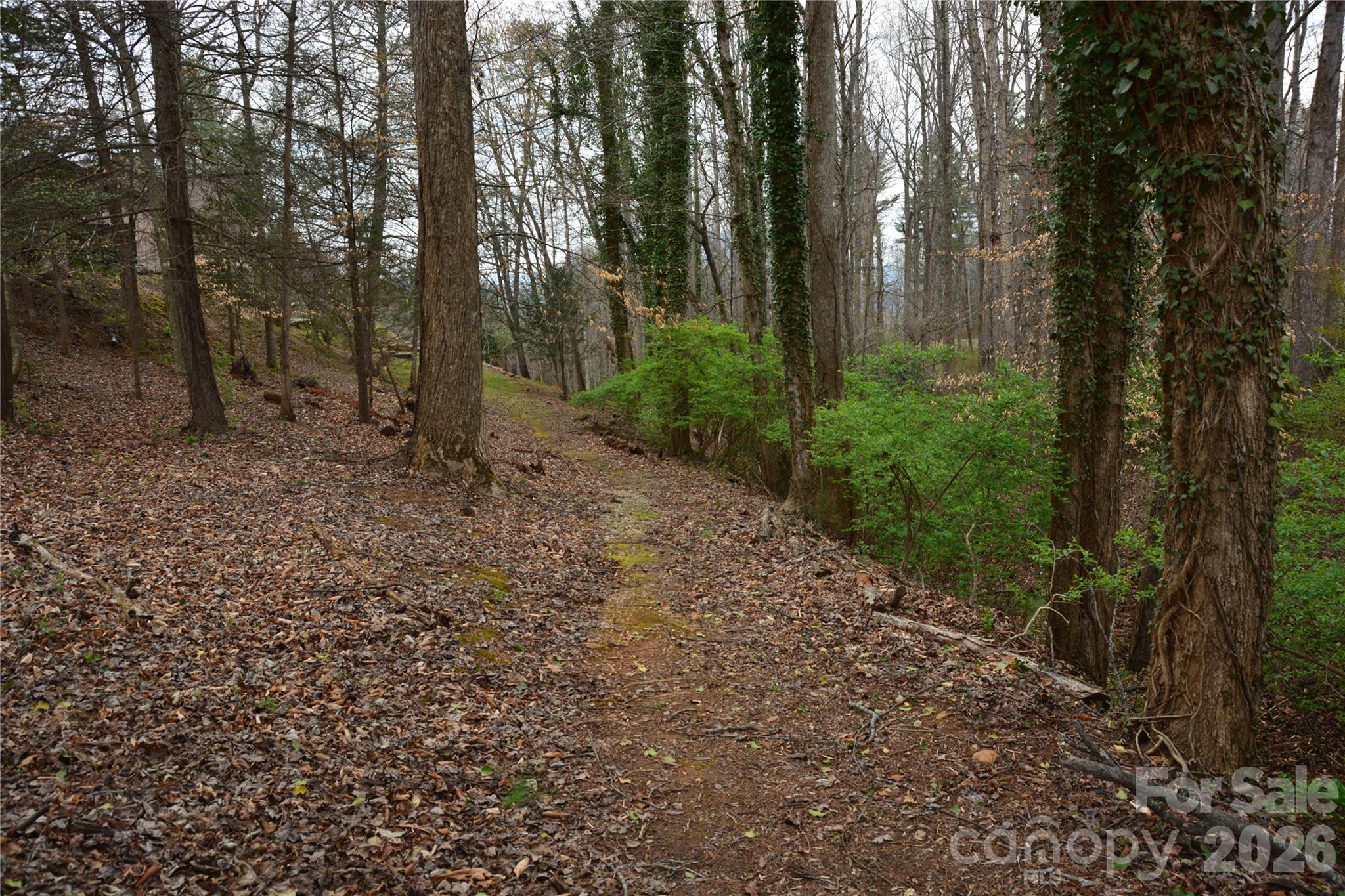 2305 Airport Road Marion, NC 28752 - Photo 9 of 30