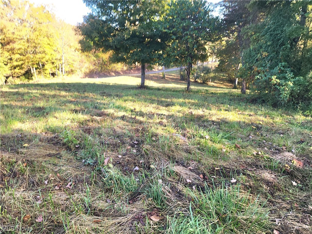 2465 South Elliott Road Stockport, OH 43787 - Photo 7 of 27 View of yard
