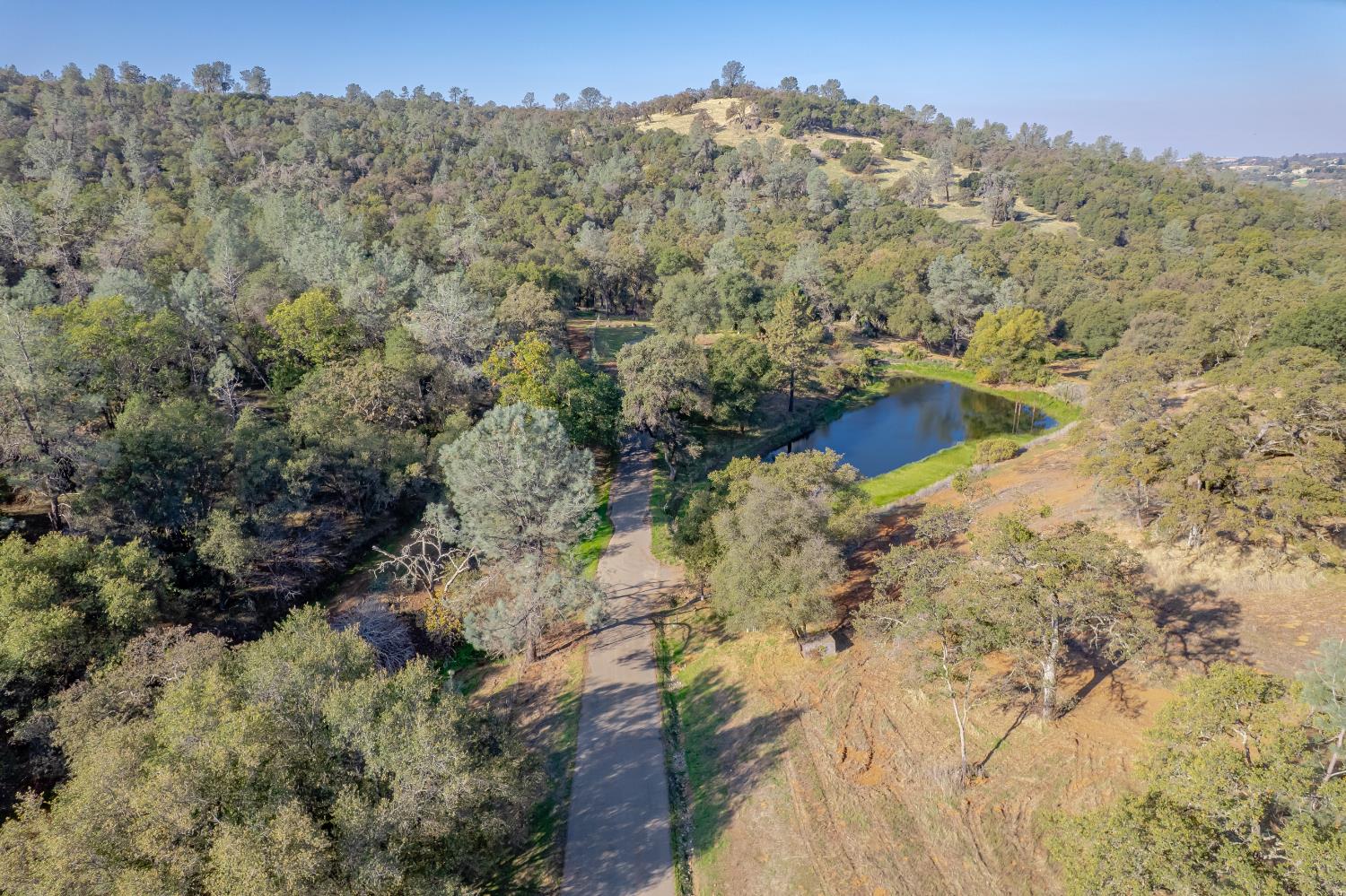5585 Garden Bar Road Lincoln, CA 95648 - Photo 23 of 27 a view of a forest