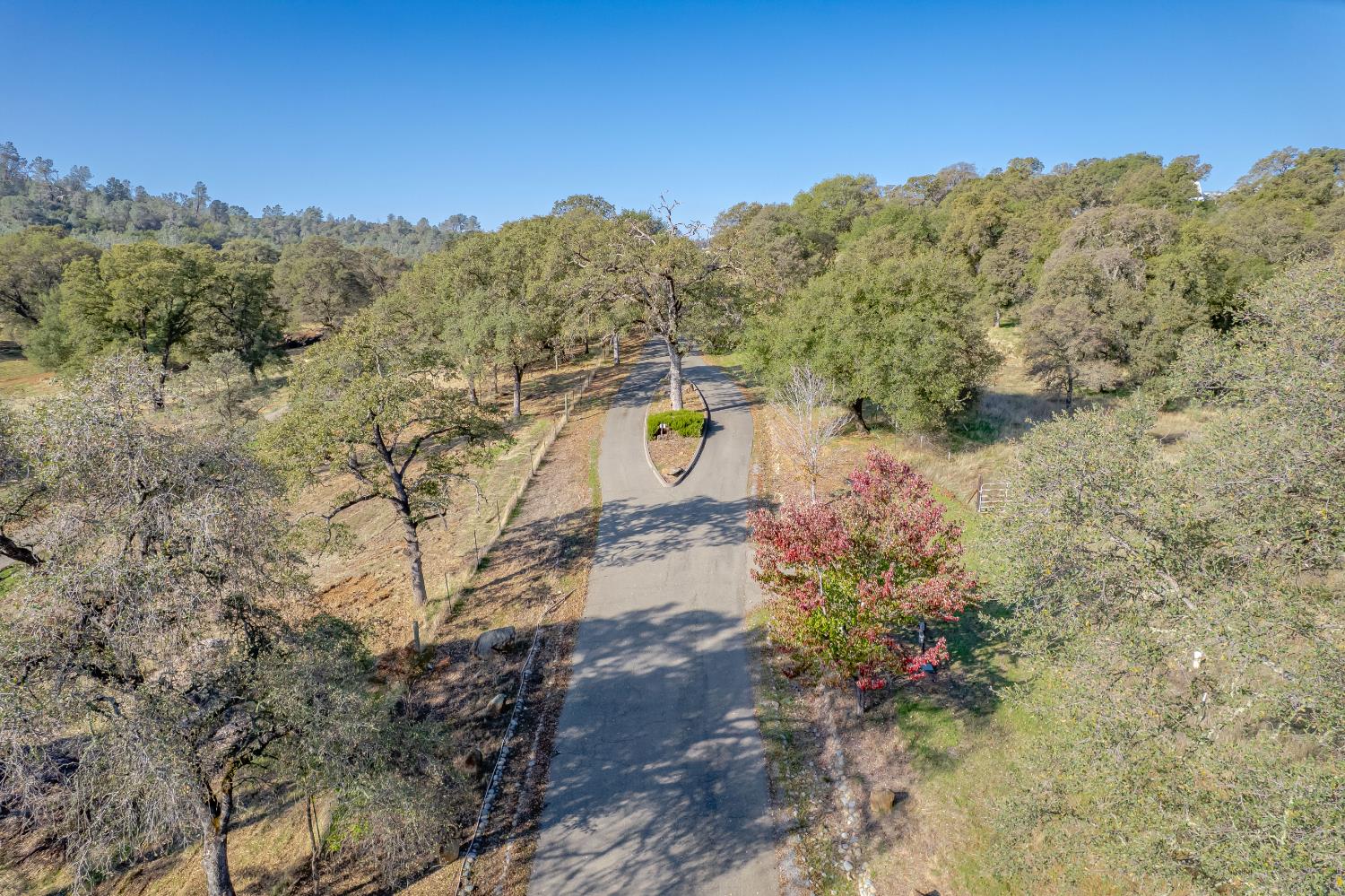 5585 Garden Bar Road Lincoln, CA 95648 - Photo 3 of 27 a view of a yard with a tree