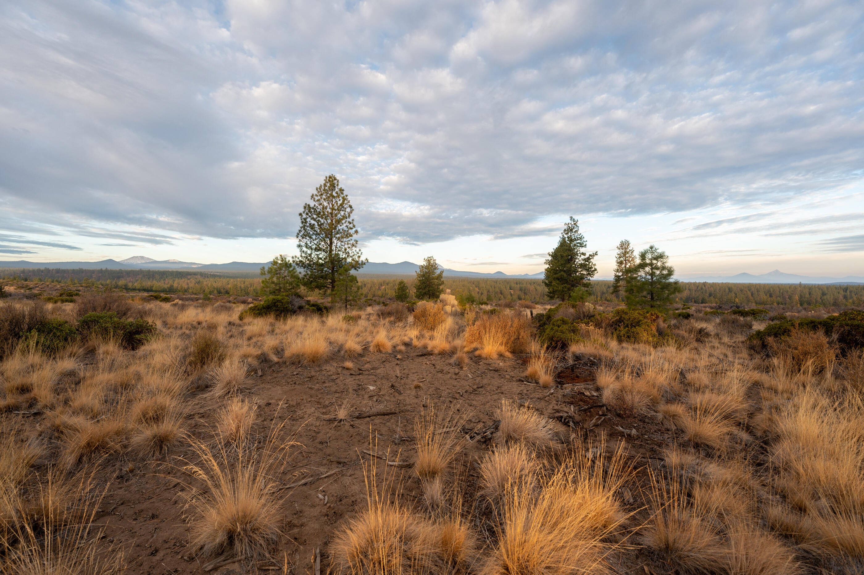62495 Huntsman Loop Bend, OR 97703 - Photo 21 of 32 18c