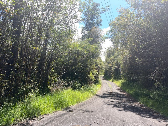 17-3352 Lot 74 Maunalani Tract Rd Mountain View Mountain View, HI 96771 - Photo 1 of 9 a pathway of a yard and a fountain