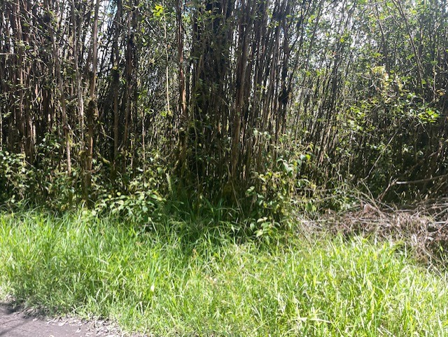17-3352 Lot 74 Maunalani Tract Rd Mountain View Mountain View, HI 96771 - Photo 3 of 9 a view of a yard