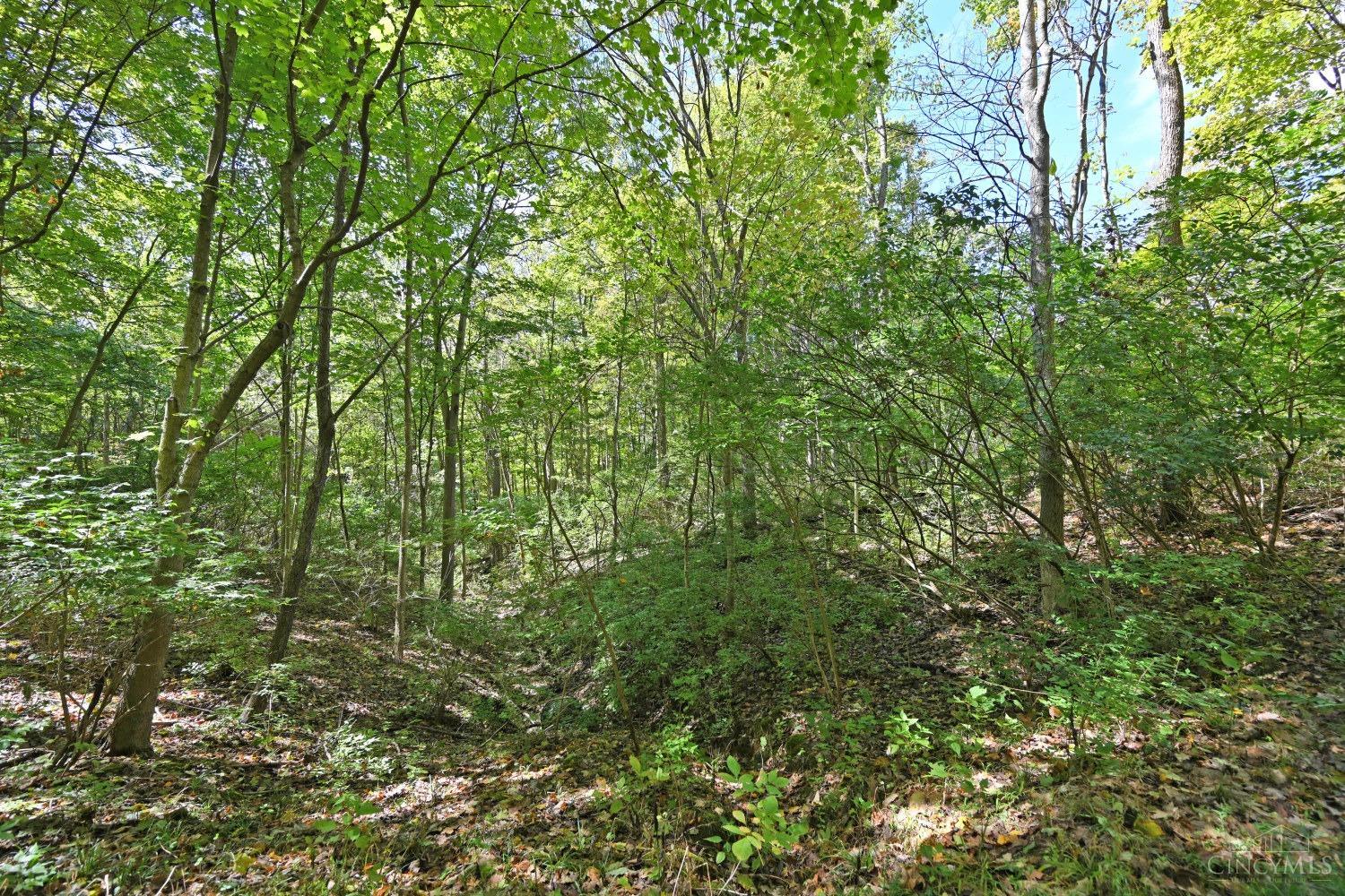 3301 Mt Carmel Road Cincinnati, OH 45244 - Photo 14 of 30
