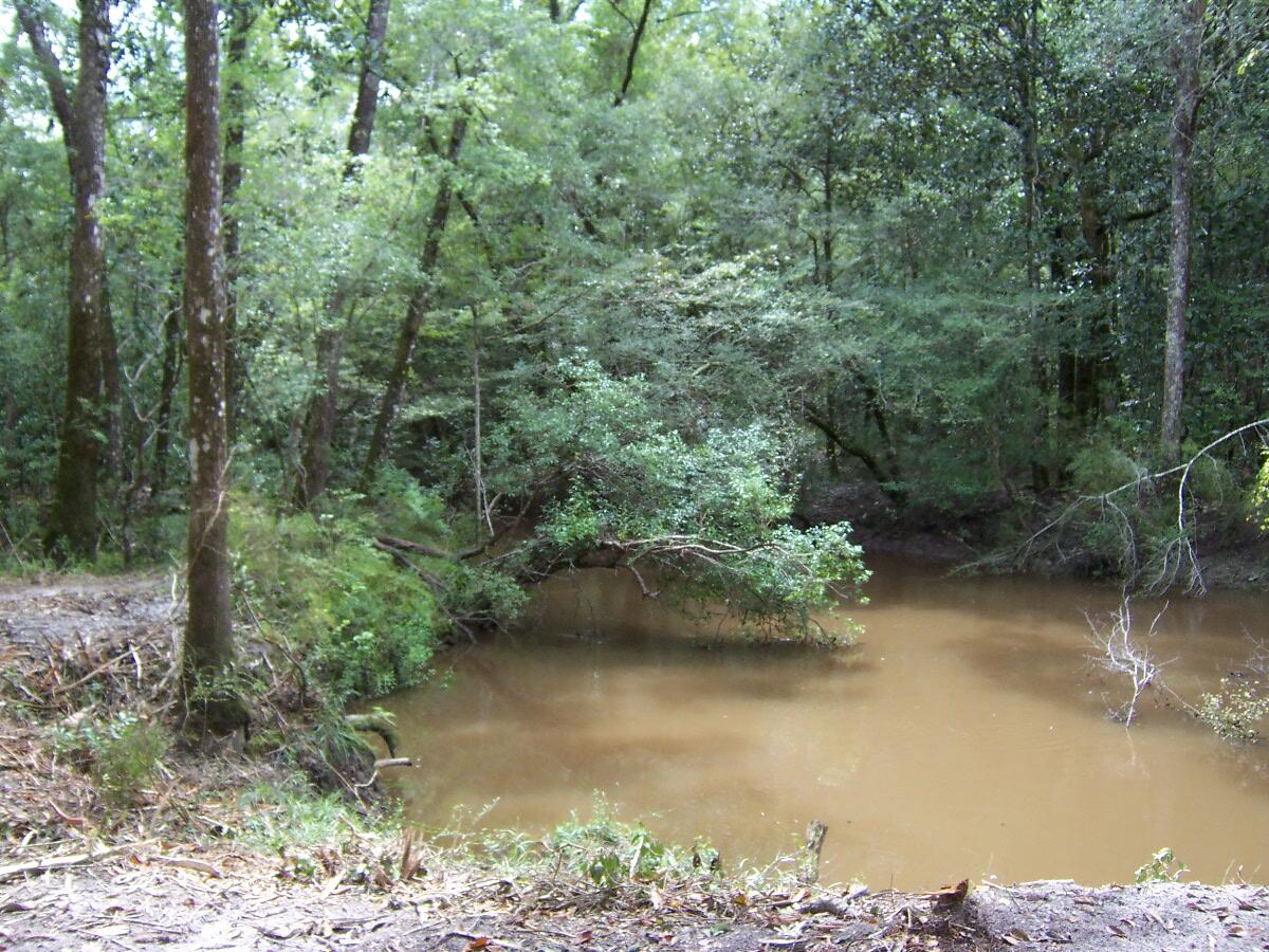 304 Batson Road Ponce de Leon, FL 32455 - Photo 1 of 41 100_7654