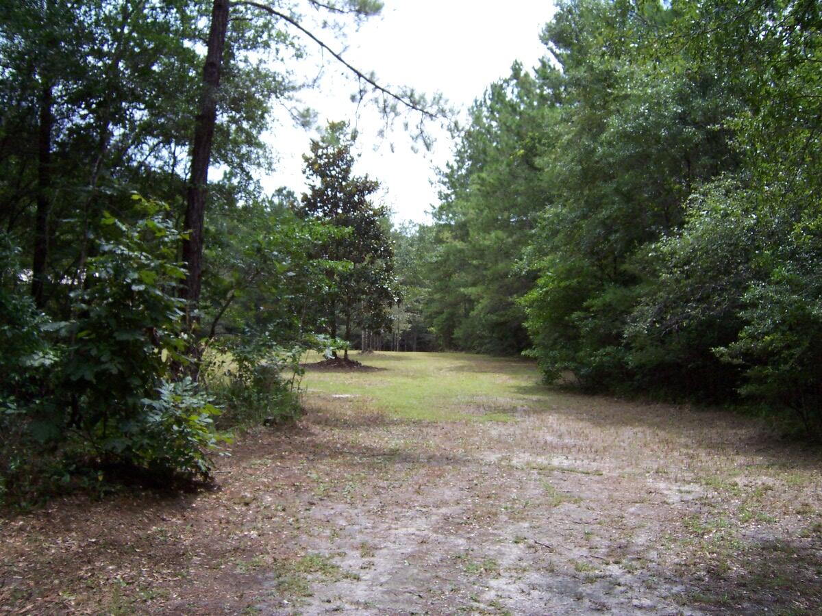 304 Batson Road Ponce de Leon, FL 32455 - Photo 11 of 41 100_7633